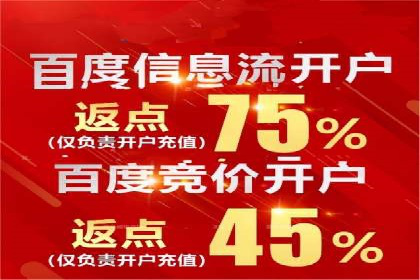 某电商平台的SEM代运营策略解析